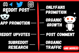 do website management, fanvue, onlyfans page promotion using reddit post and x