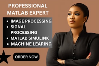 provide matlab programming matlab simulink project and task for you