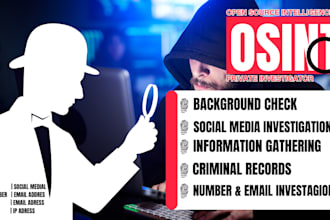 be private investigator osint investigation background check private detective