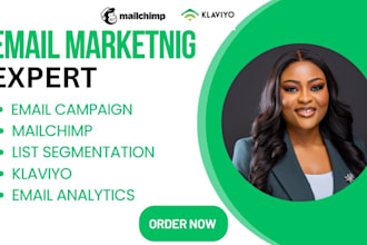 setup mailchimp,klaviyo flows, email campaign list segmentation email analytics
