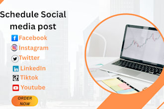 schedule social media postings on facebook instagram etc