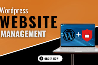 provide help and maintenance for your wordpress website