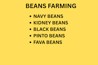 provide expert advice and data driven strategies for successful bean farming