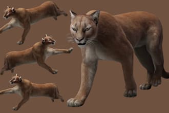 do 3d animal animation, xgen hair, 3d fur animation, 3d character animation, cgi