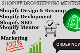 be your eccomerce shopify mentor for your dropshipping store