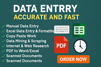 do accurate and fast data entry in excel or google sheets