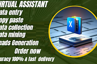 do data input,spreadsheet entry,email collection, and data entry tasks