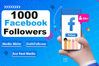 provide 1000 facebook follower real active users