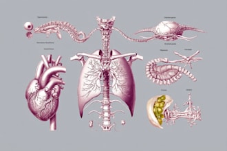 draw a realistic anatomical surgery medical illustration