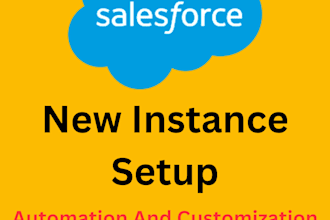 handle your salesforce issues, bugs, or custom development
