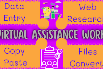 delivery you the data entry of creative service