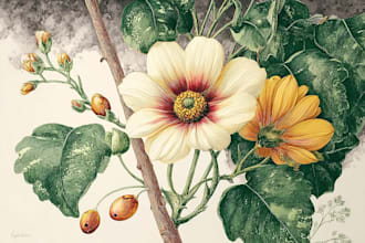 paint botanical and scientific illustrations