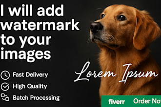 professionally add watermark or logo to your images for copyright protect