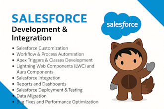 provide expert salesforce developer, admin, and customization services