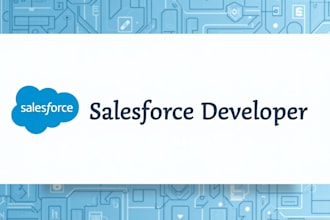 provide salesforce consultant, developer, admin, and customization services