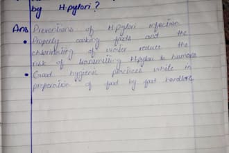 write neat hand writing notes