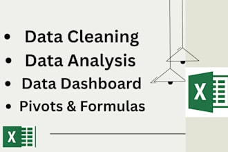 excel data cleaning and formatting