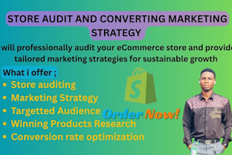 professionaly audit your ecommerce store and provide tailored marketing strategy
