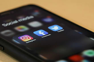 create a custom social media strategy to grow your brand online