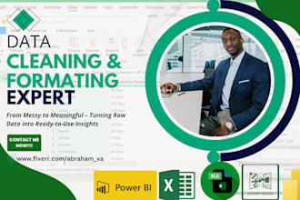 clean, format ms excel data for accuracy, clarity and analysis, data analyst