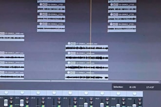 professionally mix and master your podcast or vocals