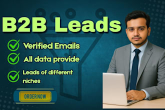 provide b2b leads with email verify and cleaning
