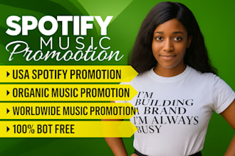 do music promotion to playlist pitch placement organic dance video campaign ads