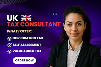 prepare and submit UK vat return, company accounts, self assessment