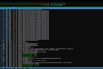 deploy and optimize nginx or litespeed web server