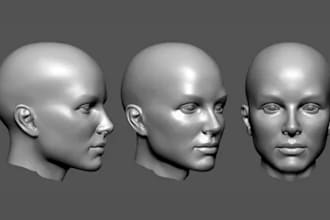 sculpt 3d realistic character model 3d head face 3d bust model for 3d printing