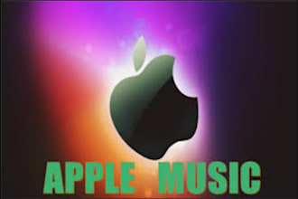do skyrocket apple music promotion, apple music promotion via apple playlist
