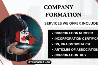 register canada non profit UK charity US 501c3 bylaws