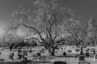 find your long, lost relatives, I do expert genealogy research