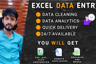 clean, organize and analyze your excel data professionally