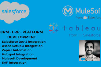 develop automate and streamline your salesforce CRM