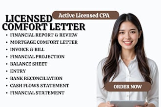 provide US CPA comfort letter for self employed income and expense verification