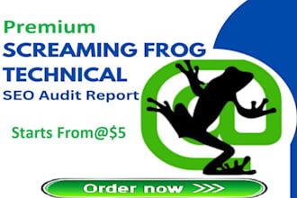 audit your website using screaming frog SEO spider and deliver actionable