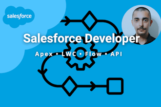 develop apex, lwc, flow or integrate apis in your salesforce org