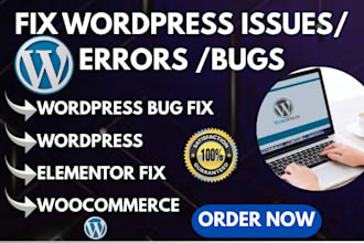 fix wordpress issues wordpress help wordpress bug fix wordpress error