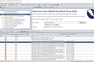conduct a comprehensive security audit and penetration test