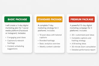 promote your brand through effective digital marketing strategies