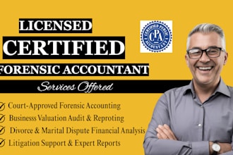 do forensic and fiduciary accounting, fraud audits, and court ready CPA reports