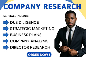 conduct kyc, due diligence, company research, director research
