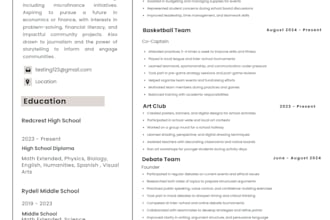 design a modern resume or CV