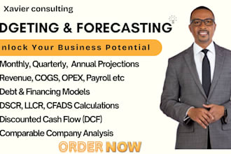 provide investor ready financial models, forecasts, projections or business plan