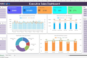 create custom excel dashboards with KPI tracking and data visualization