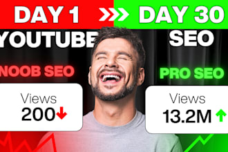 youtube channel seo optimization growth expert views and subscribers management