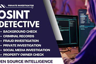 do online investigation osint background check private detective kyc open source