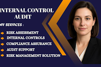 provide internal control with risk management solutions