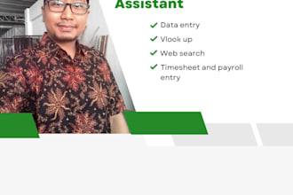 do excel data entry, clean up and web search database